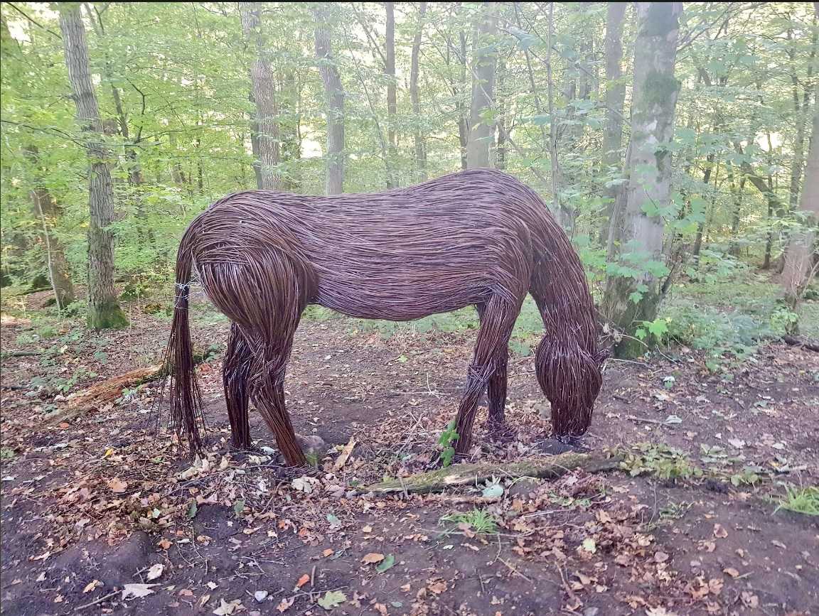 Horse at Skipton Castle Woods