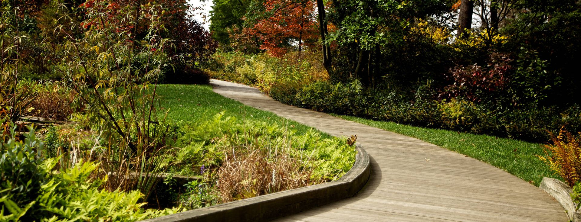 Landscape Design